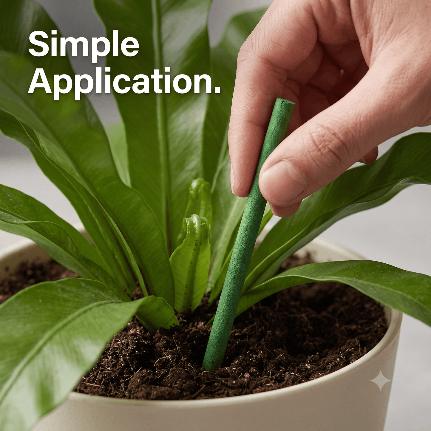 Plant Growth Booster Fertilizer Sticks 50pcs (Pack of 2)