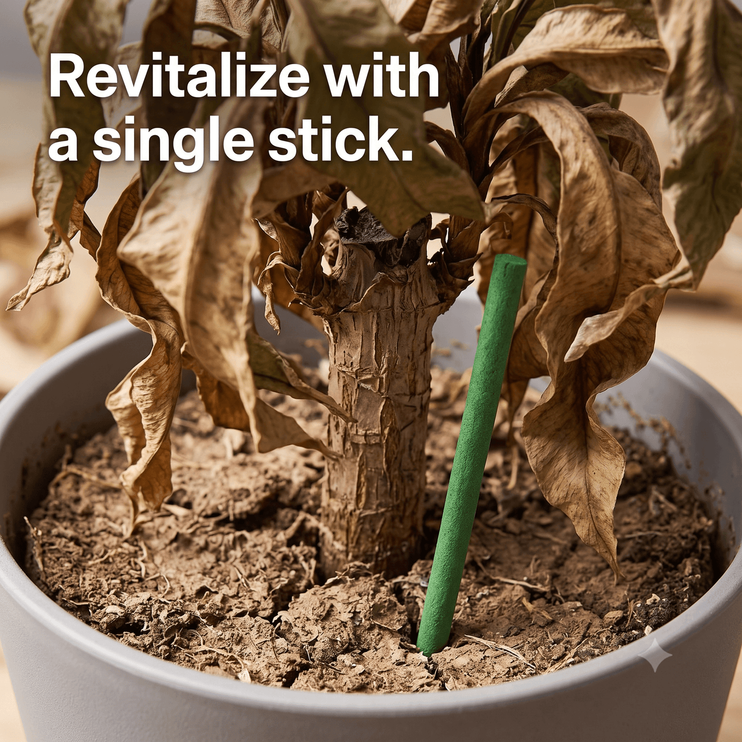 Plant Growth Booster Fertilizer Sticks 50pcs (Pack of 2)