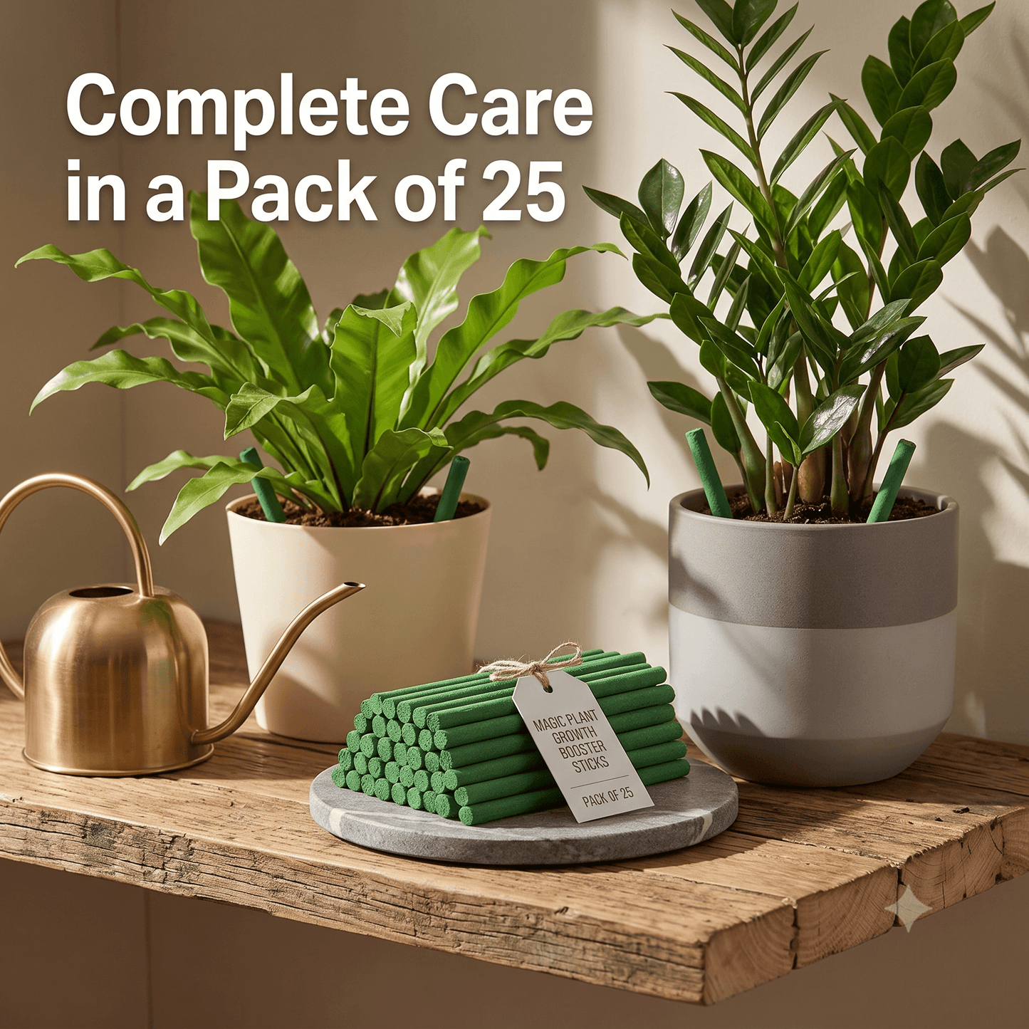 Plant Growth Booster Fertilizer Sticks 50pcs (Pack of 2)