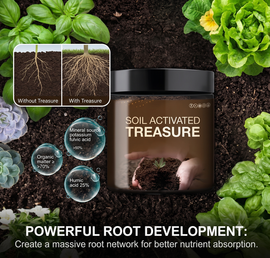 Premium Organic Soil Activator 200gram